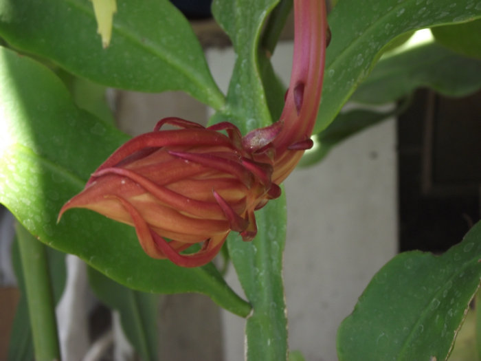 2011_06280040.JPG