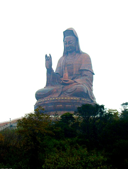6877899_224058054000_2_conew1.jpg