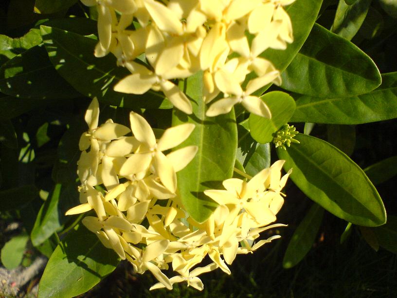 DSC05985.JPG