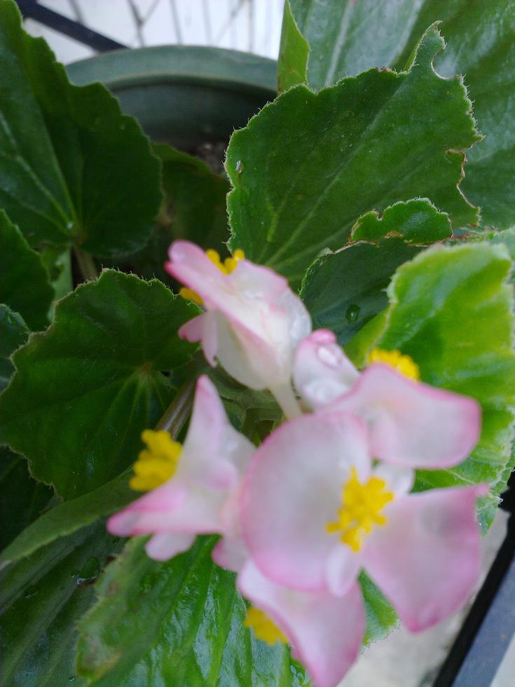 20110723914.jpg