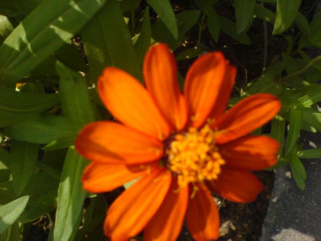 DSC06019.JPG