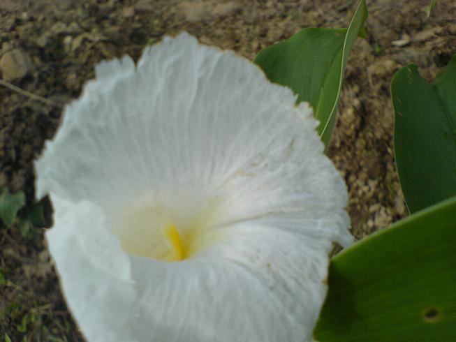DSC06007.JPG