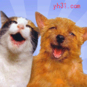 200905122142262067.gif