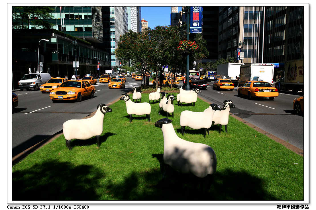 Ƭ 066.jpg