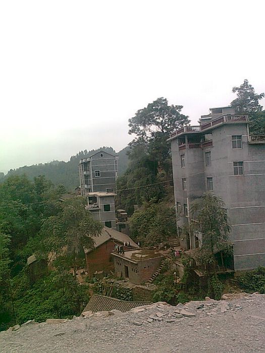 Ƭ0550.jpg