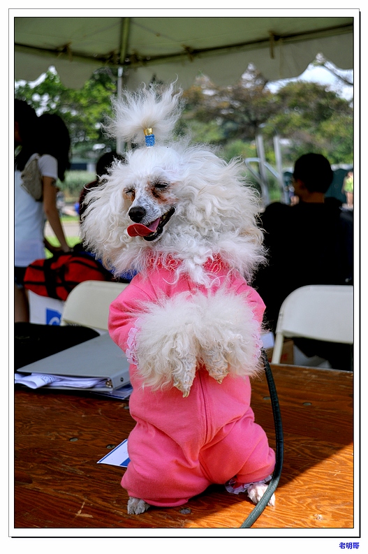 ŦԼ۽ڣ2011 091-1.jpg