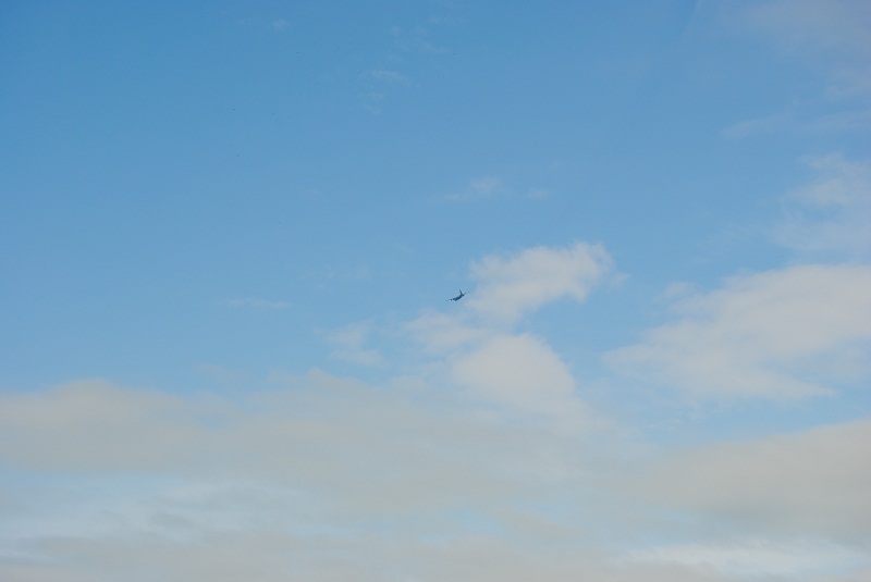 DSC_5683.JPG