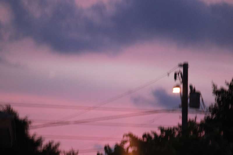 594.jpg