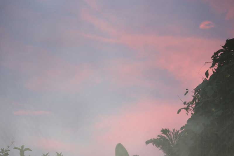606.jpg