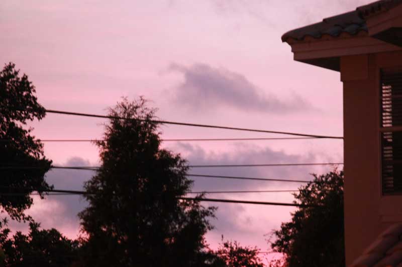 598.jpg