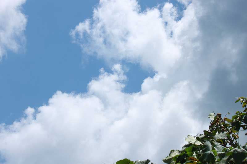 377.jpg
