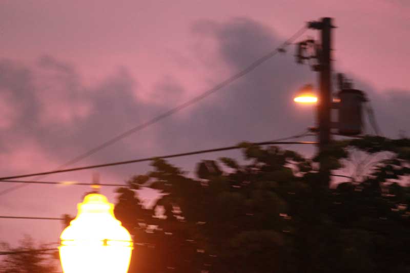 595.jpg