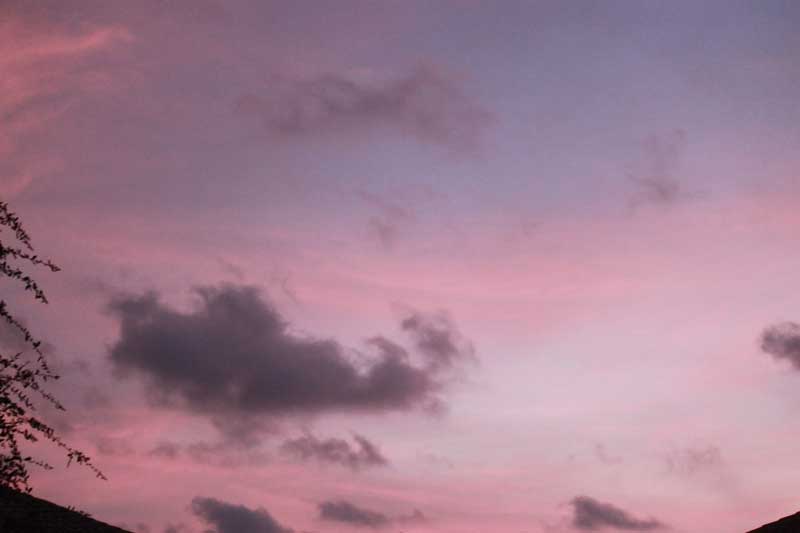 600.jpg