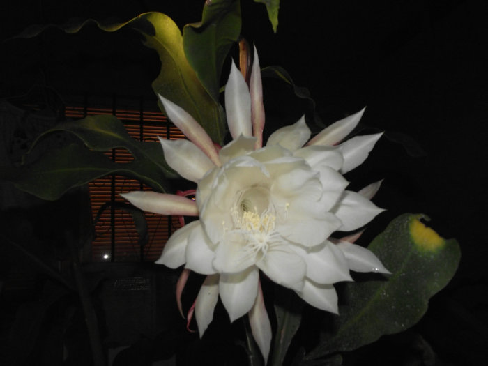 2011_06280048.JPG