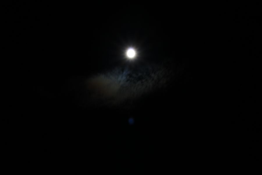 IMG_9725.JPG