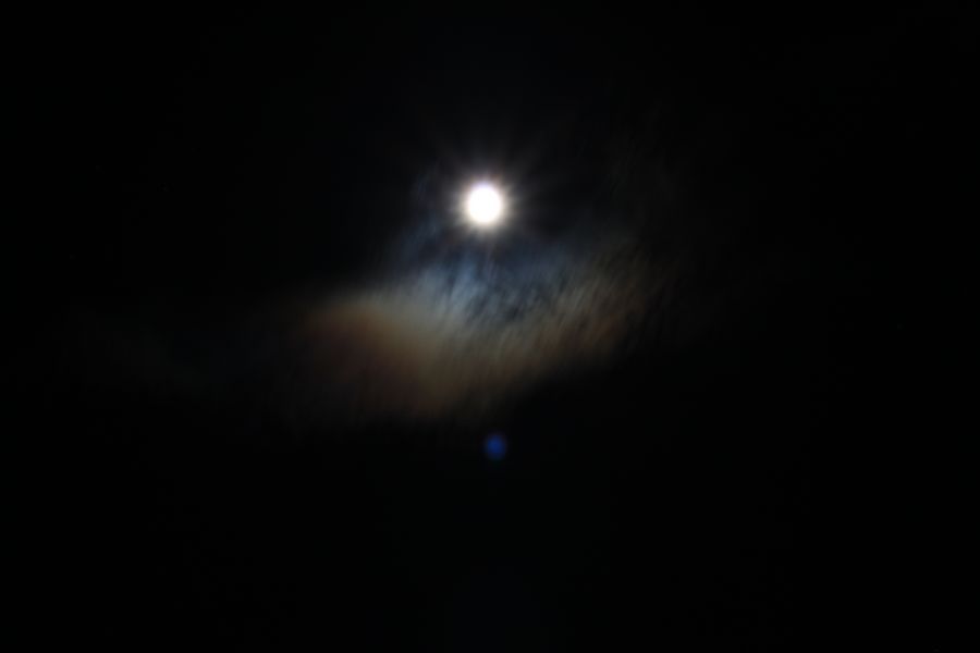 IMG_9724.JPG