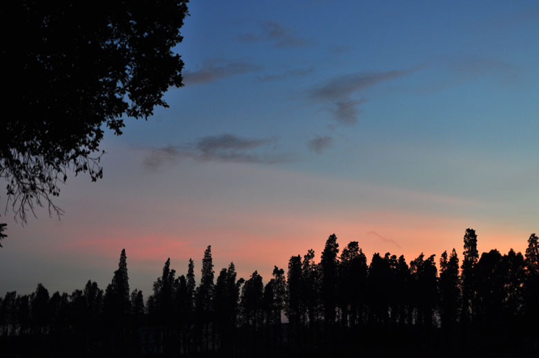 DSC_4383.jpg
