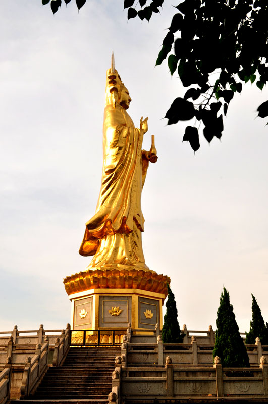 照片 944.jpg
