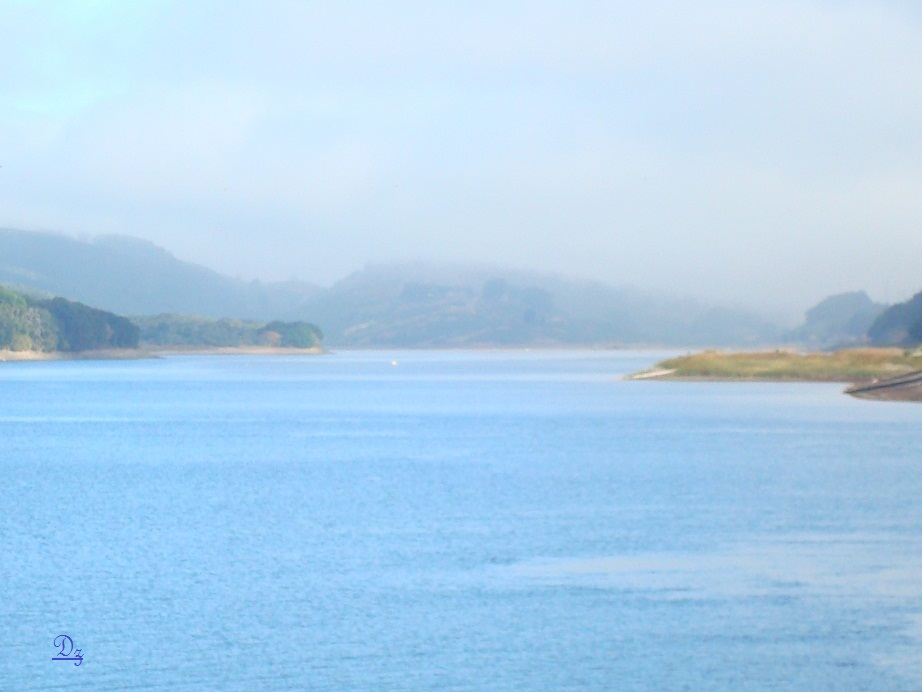 DSC09149-1.jpg