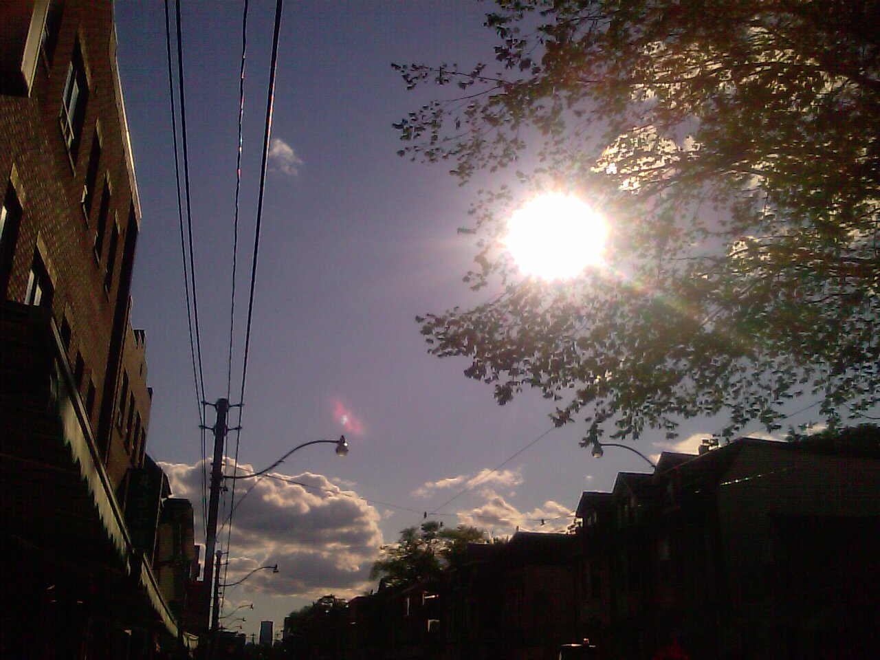IMAG0308.jpg