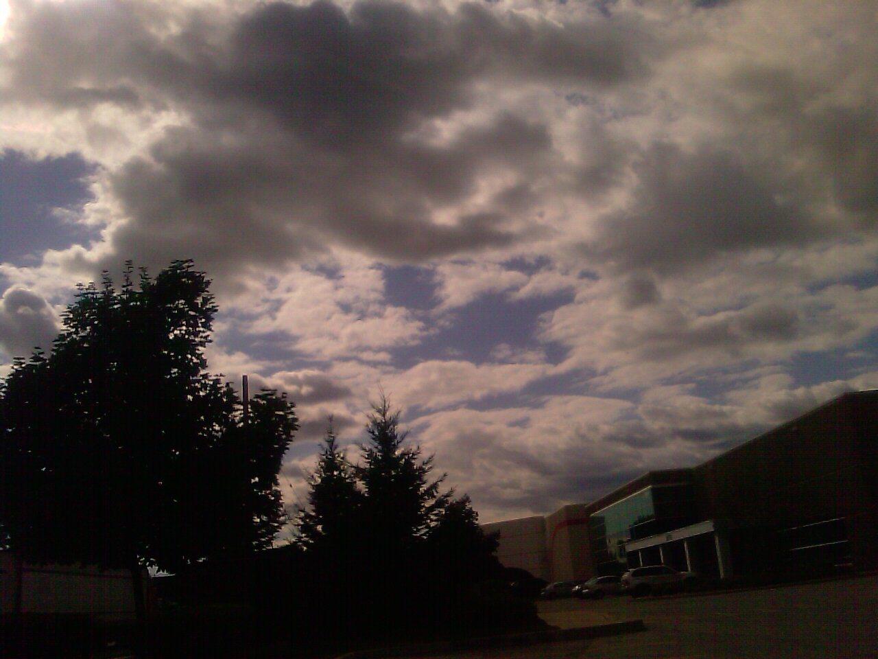 IMAG0297.jpg