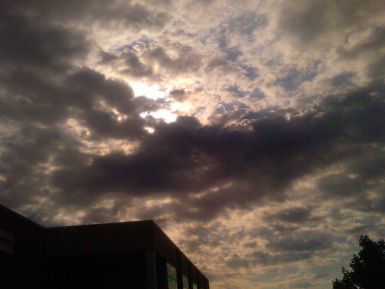 IMAG0292.jpg
