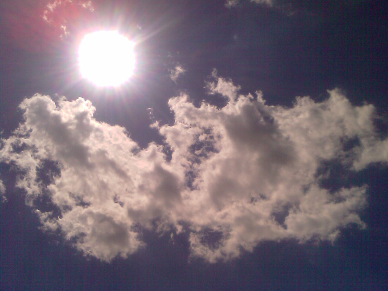 20110725.jpg
