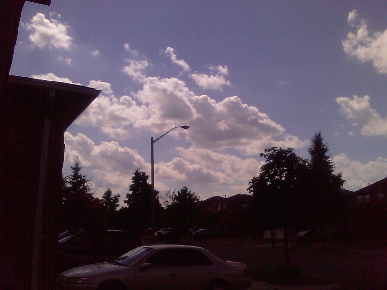 IMAG0330.jpg