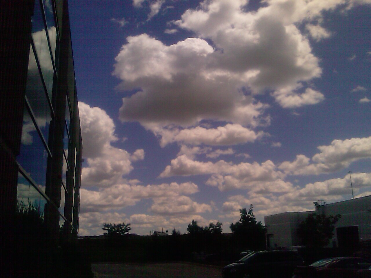 IMAG0294.jpg