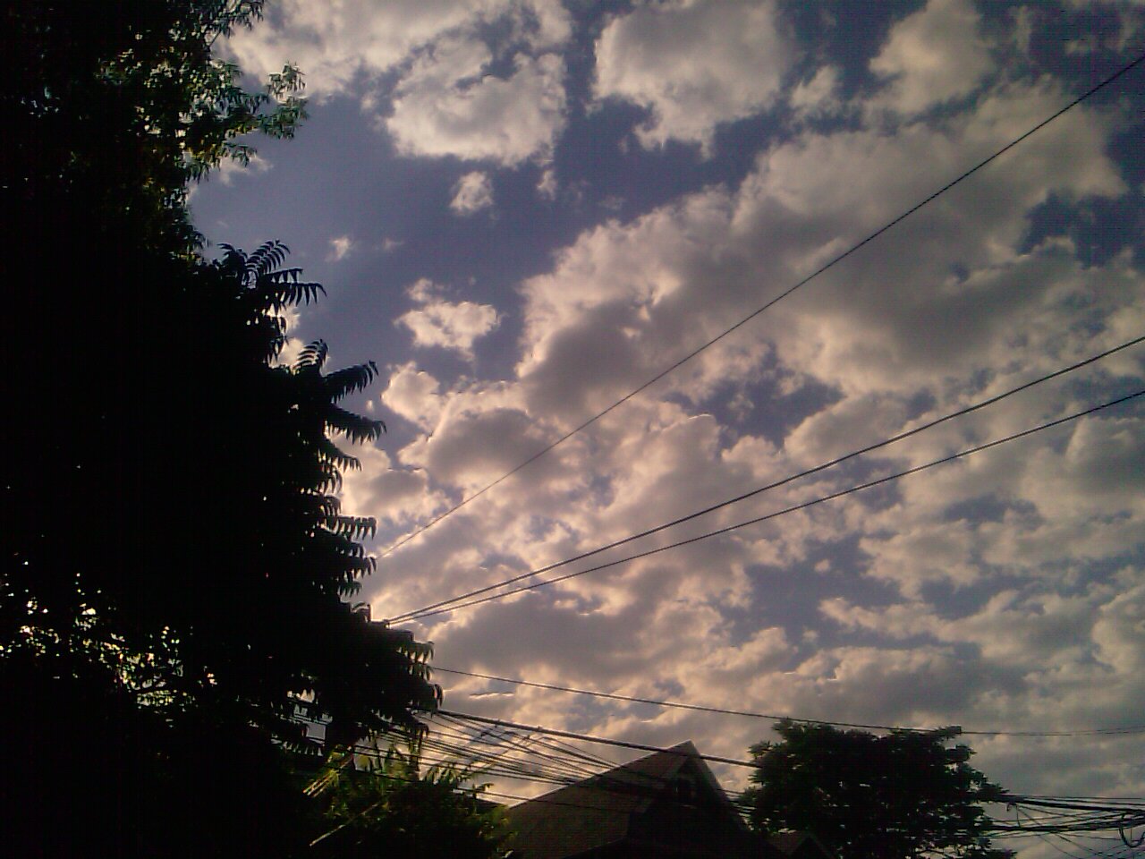 IMAG0287.jpg
