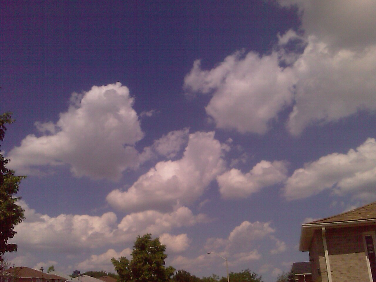 IMAG0327.jpg