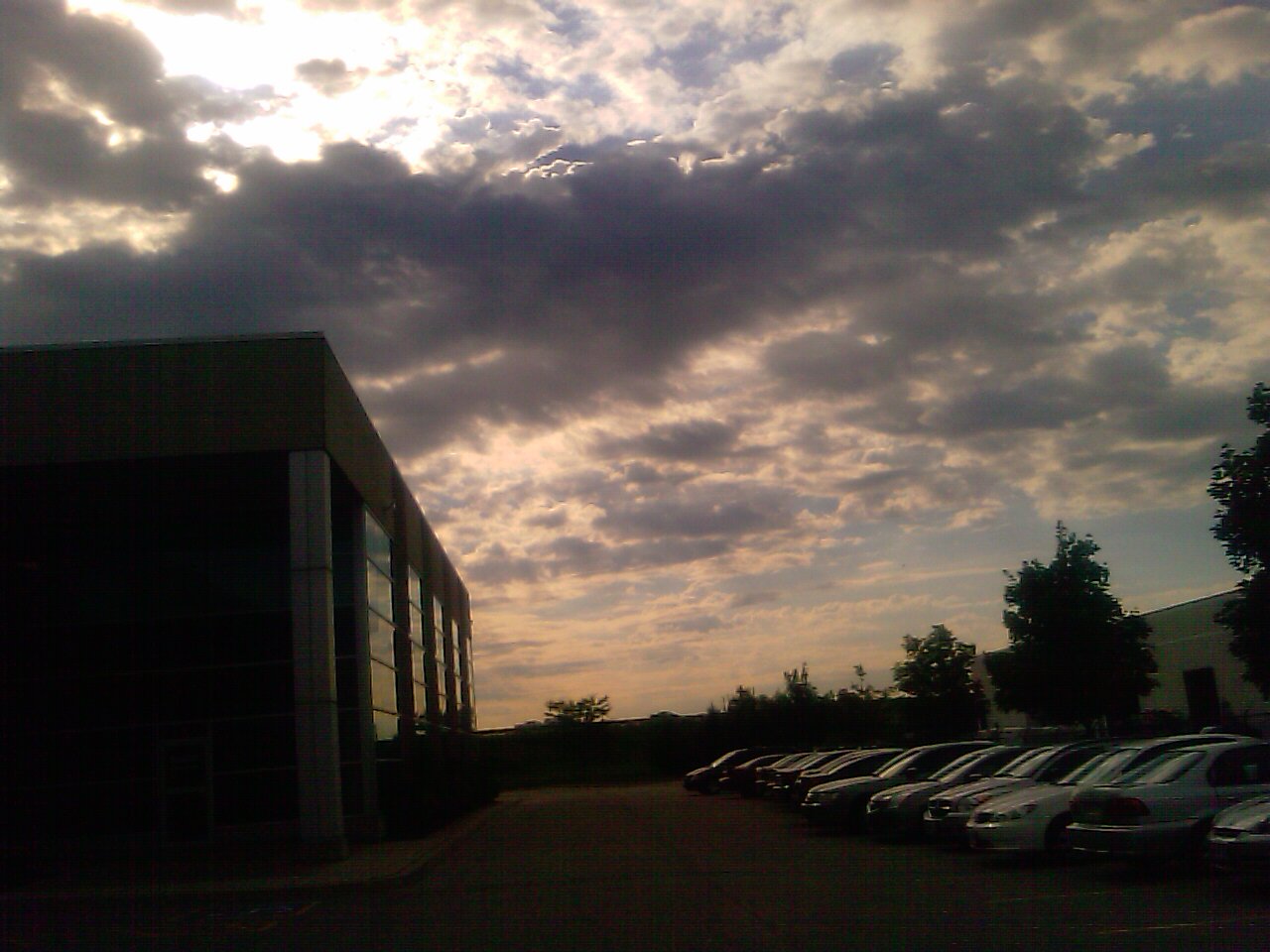 IMAG0293.jpg
