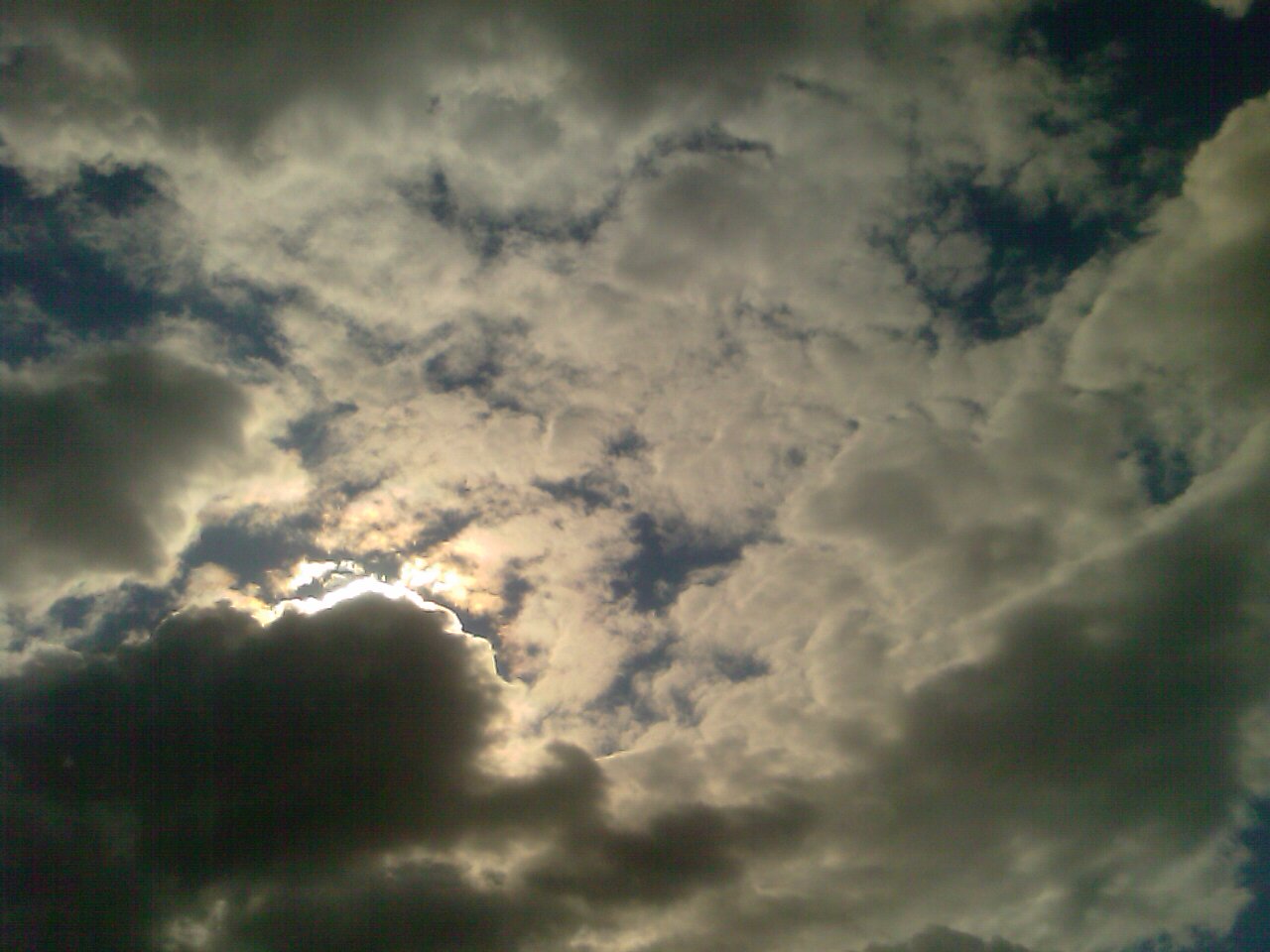 IMAG0300.jpg