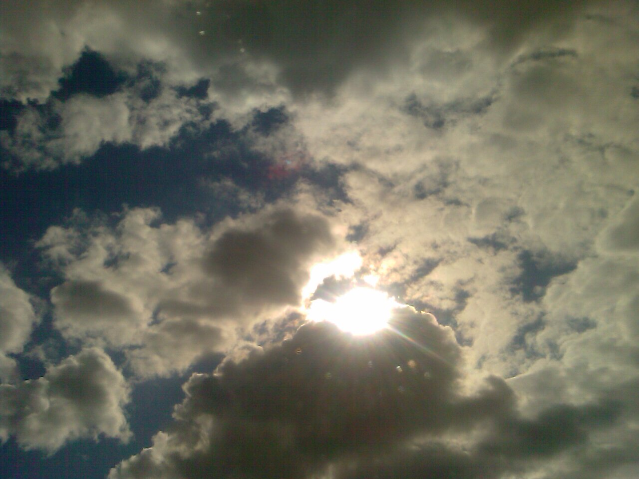 IMAG0299.jpg