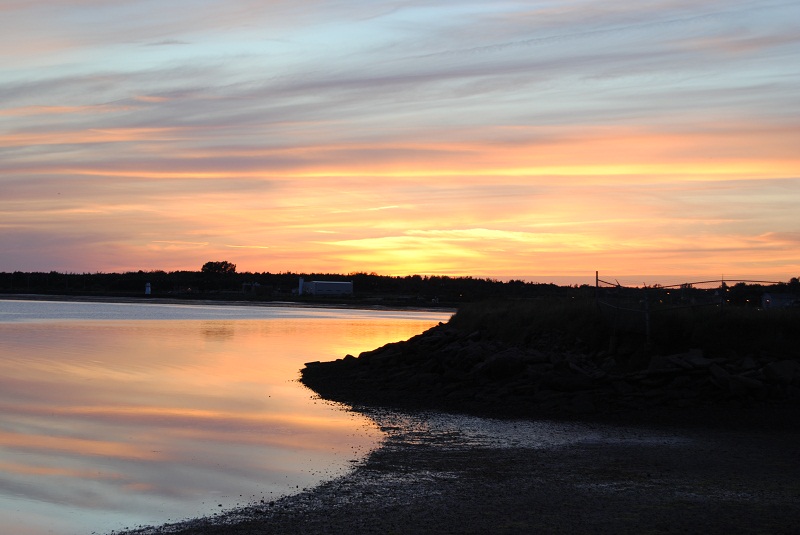 DSC_2693.JPG