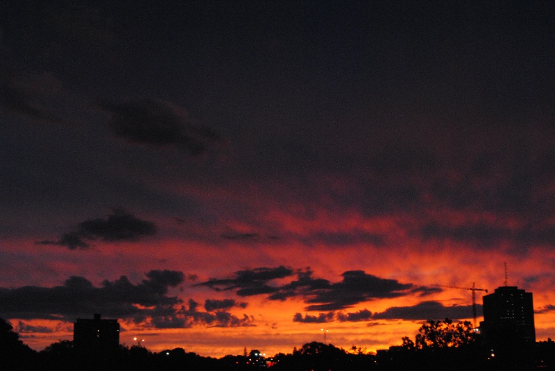 DSC_6298.JPG