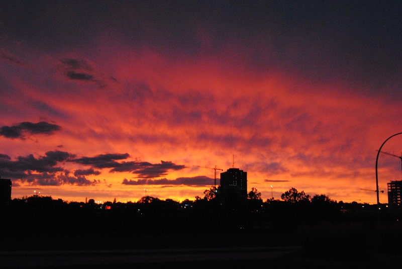 DSC_6295.JPG