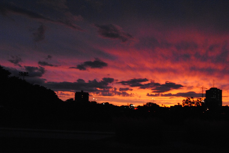 DSC_6297.JPG
