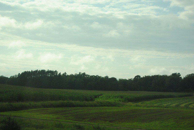 DSC_5723.JPG
