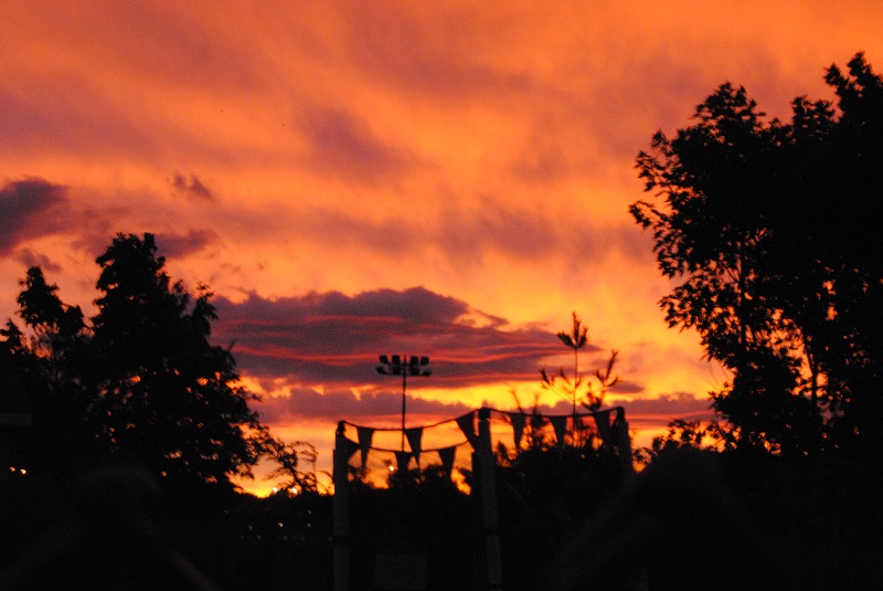 DSC_6289.JPG