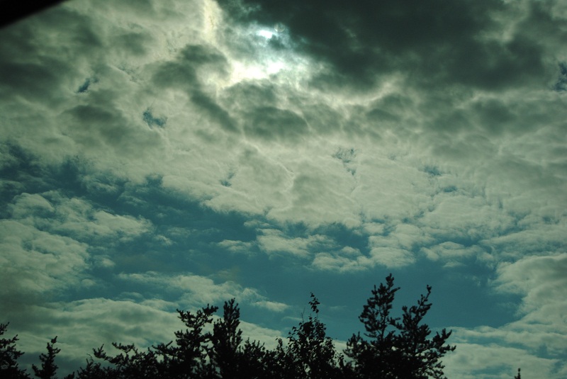 DSC_5719.JPG