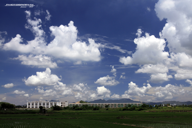 _MG_1809.JPG