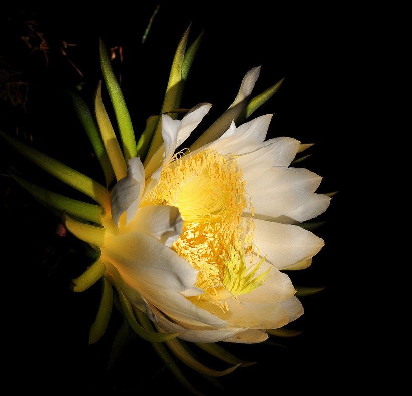 DSC_7633aa.jpg