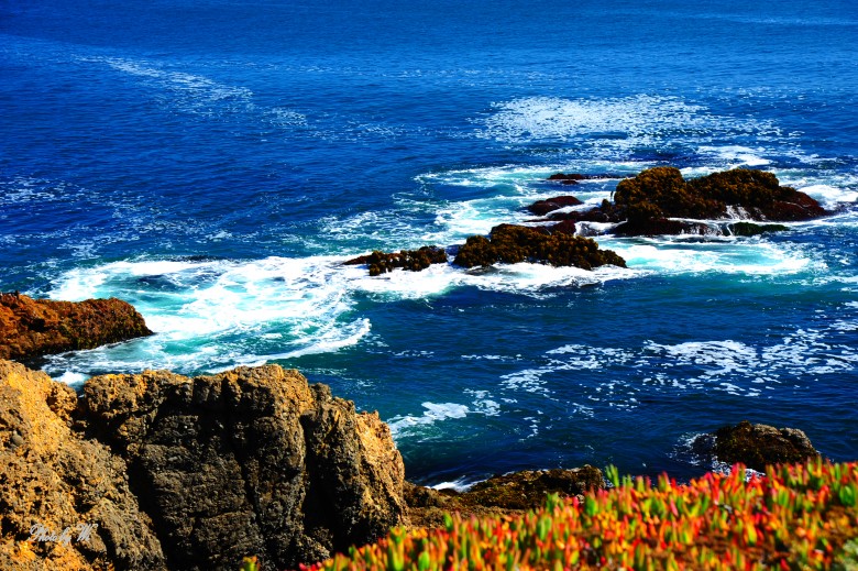 DSC_6942_conew1.jpg