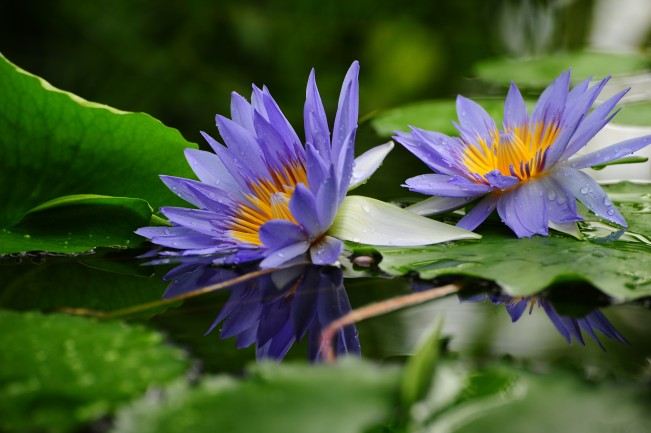 DSC_6788_conew1.jpg