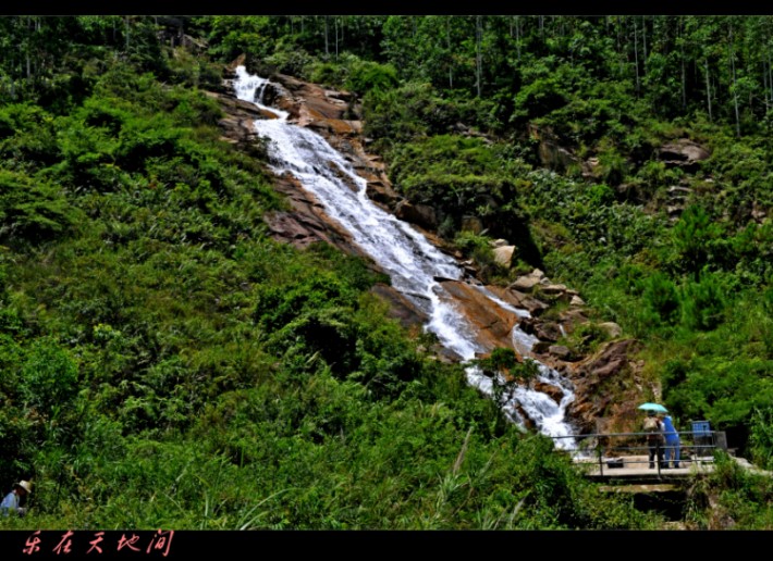 Ƭ 088_conew1.jpg