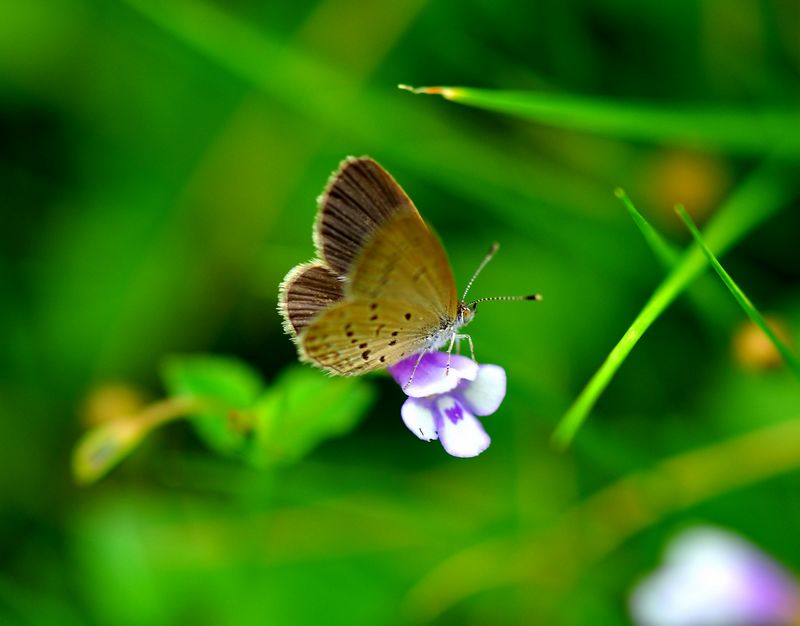 DSC_0124.JPG