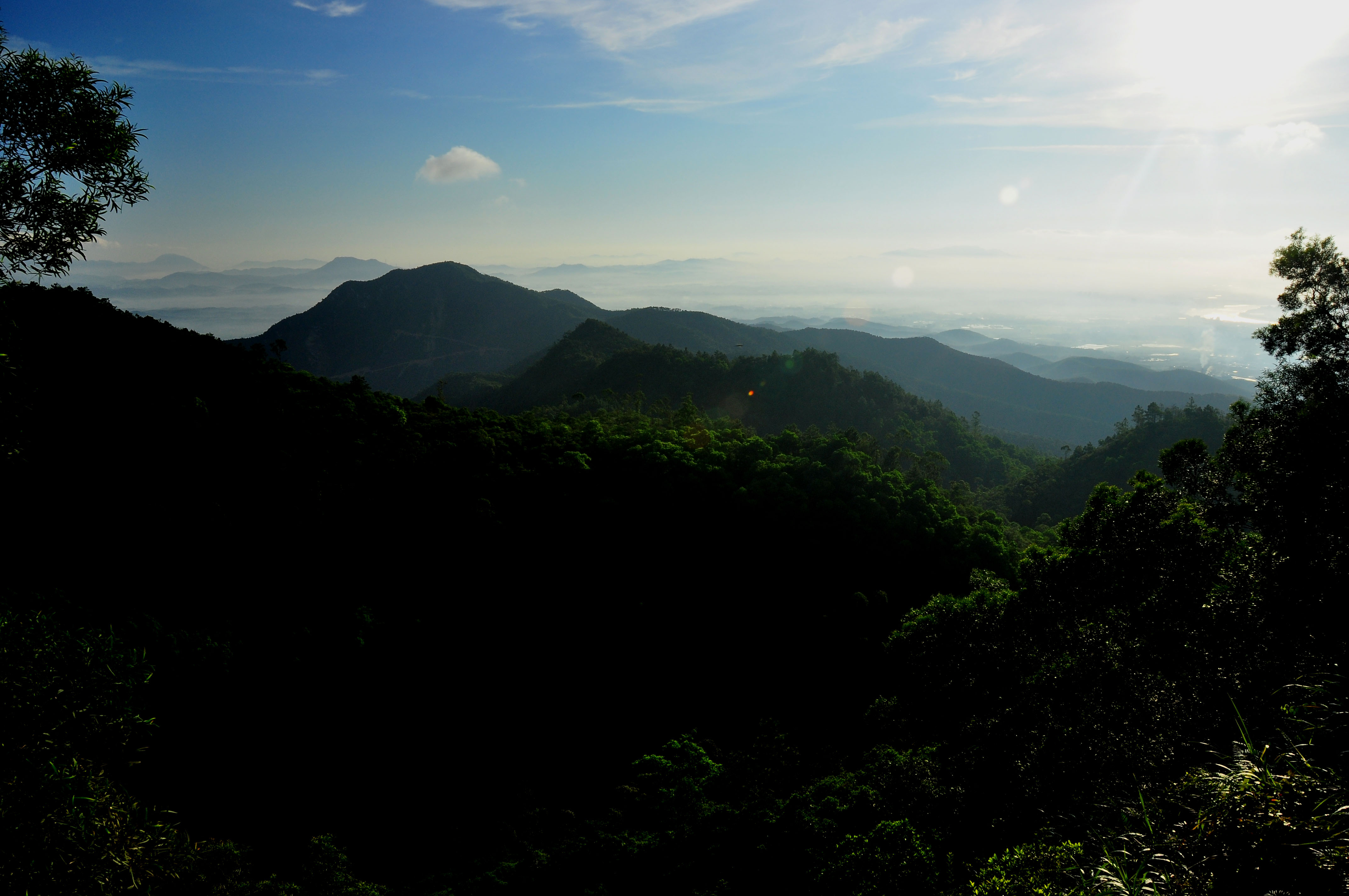 DSC_0352.JPG