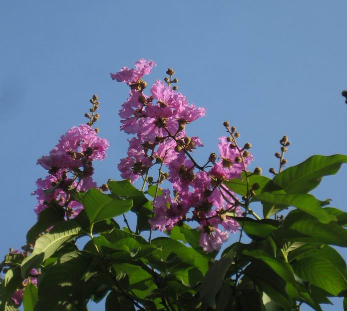 С IMG_9062.jpg