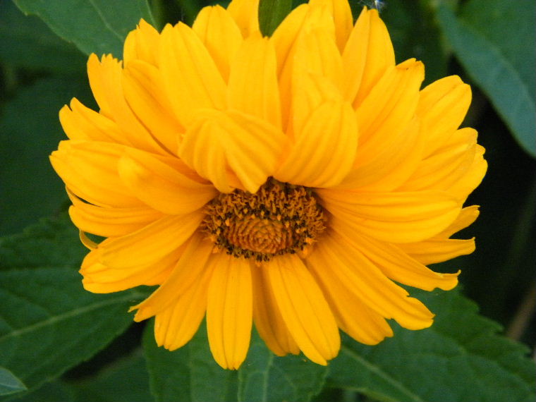 DSCF1679.JPG